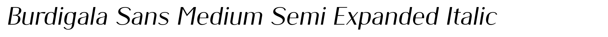 Burdigala Sans Medium Semi Expanded Italic image